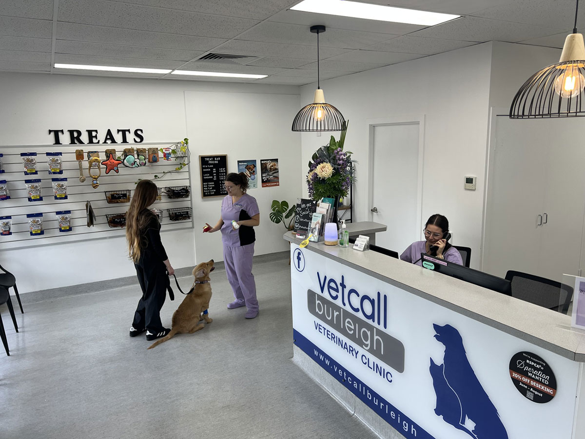 Prescription Reorder